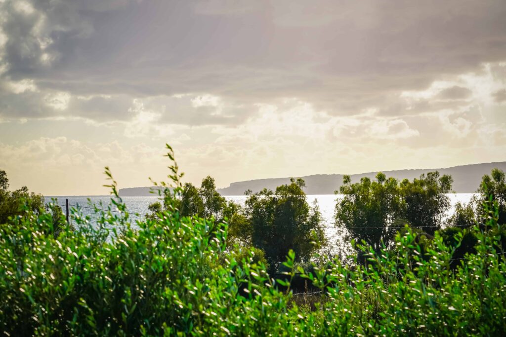 Embrace Luxury Holidays in the Heart of Messinia