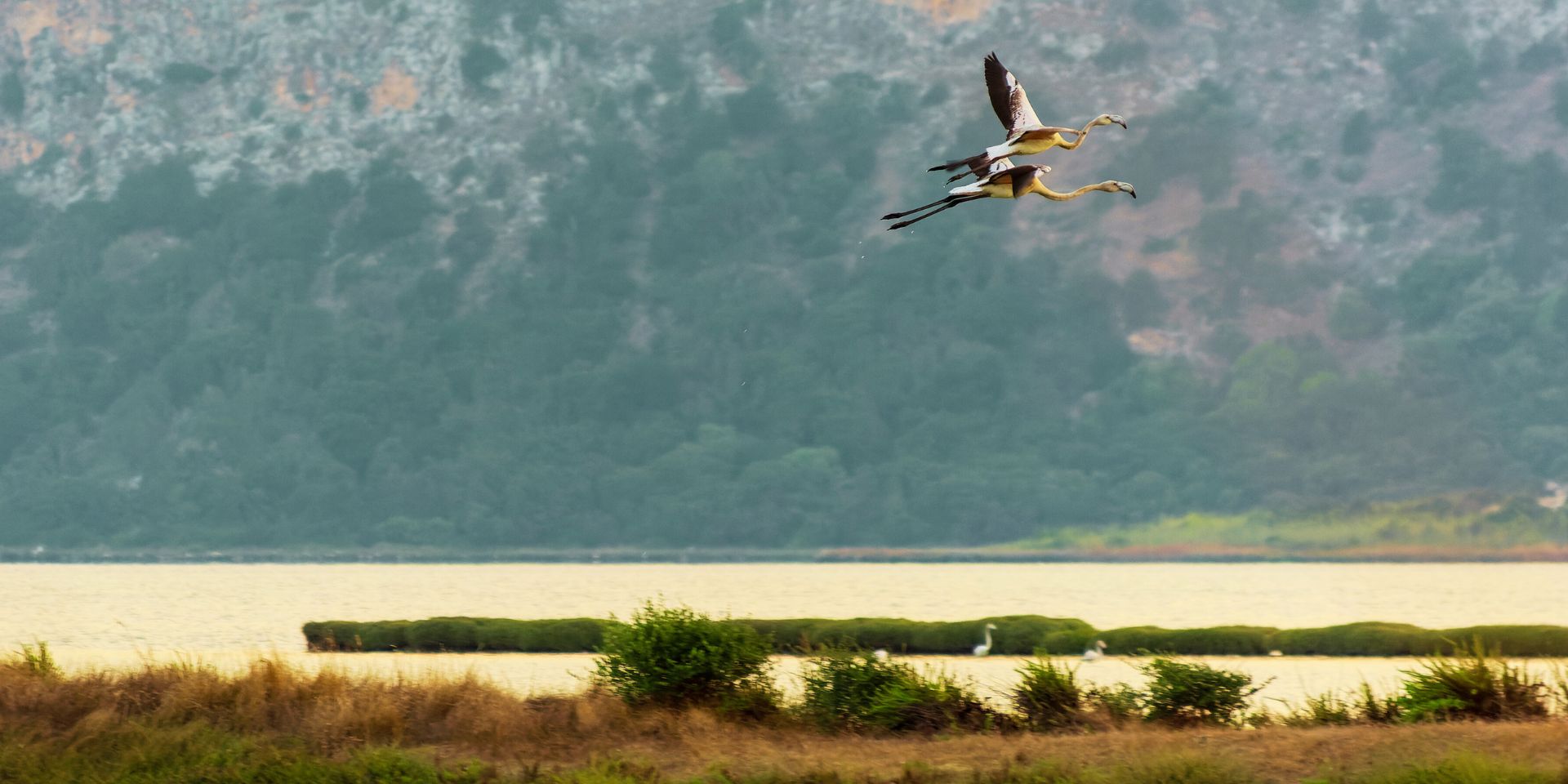 gialova-perfect-escape-hills-6-book-your-stay