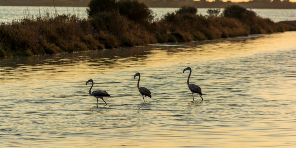 The Perfect Escape in Messinia