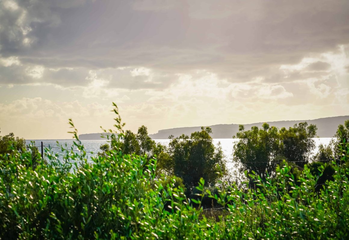 gialova-hills-luxury-villa-navarinoarchitektur-12